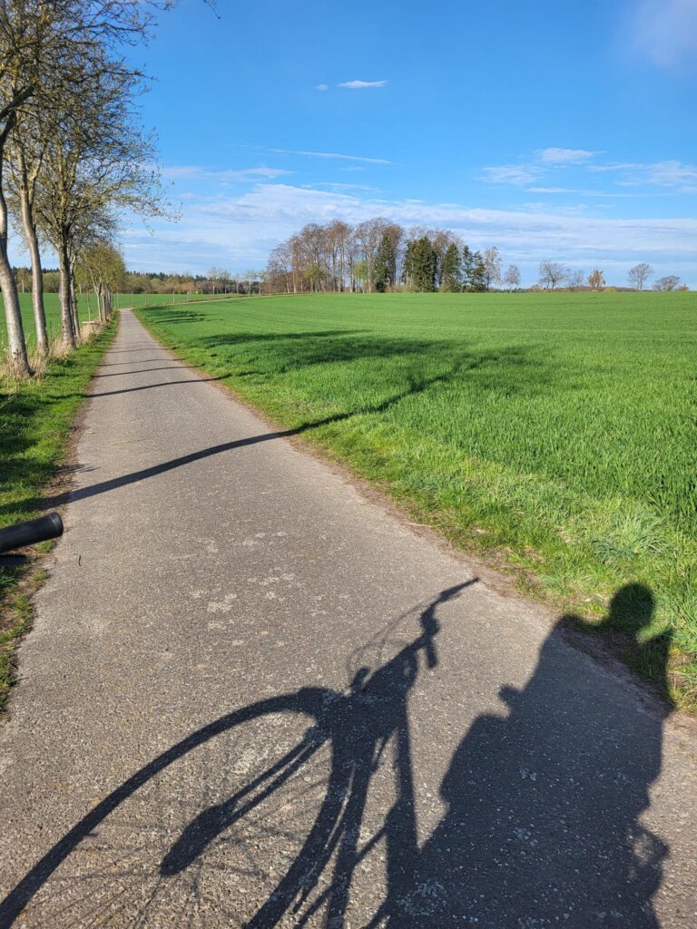 Neue Wege gehen